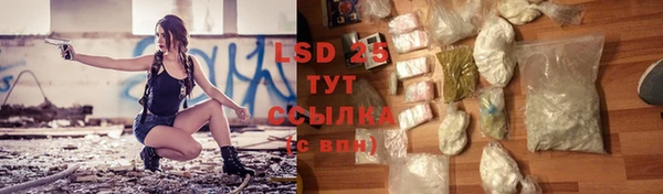 дживик Беломорск