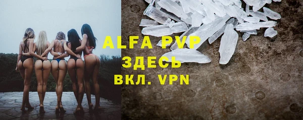 дживик Беломорск